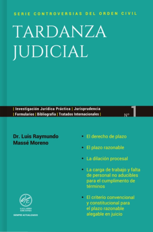 Tardanza Judicial - Luis Raymundo Massé Moreno